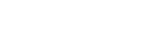 blitzomni
